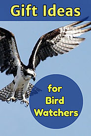 Bird Watching Presents – Christmas, Birthday, Retirement Gift Ideas for Bird Watchers