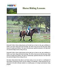 Horse Riding Lessons