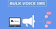 Incorporate Marketing With Bulk Voice SMS Service