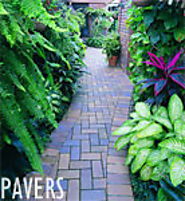 Learn Everything about Batoes Paving Centre