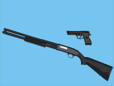 Handgun or Long Gun