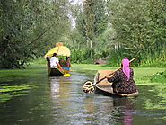 Take a Shikara boat ride, Kashmir