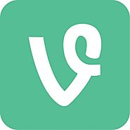 Vine