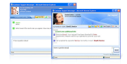Customizable chat window