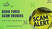 Avoid Forex Scam Brokers – How to Spot Fake Brokers