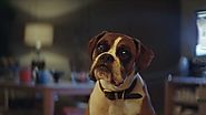The John Lewis Christmas Ad Is Here. Does It Ease the Pain of 2016, or Add to It?