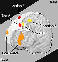 What Multitasking Does to Our Brains - The Buffer Blog