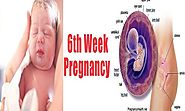 6 Weeks Pregnant: Major developments and Exciting Events - Health 11