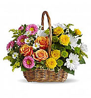 Best Online Flower Shop Delivery Dubai, Sharjah