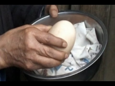 Hen in China Lays Giant Egg