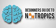 Beginner’s Guide to Nootropics | Brain Upgrades - Healthy Living Benefits