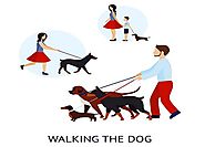 Behaviour and Health of Dogs with on demand dog walking app