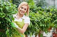 Find more ideas on Handy Gardeners's website