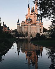 Walt Disney World's Castle in Orlando