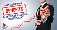 What are the major benefits of getting Professional Year Program?