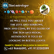 Astrology Solutions for Business Growth | Kasi Astrologer