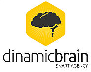 Dinamic Brain