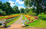 The Peradeniya Botanical Gardens