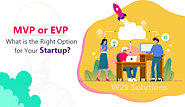 MVP or EVP: What is the Right Option for Your Startup? - W2S Solutions Blog