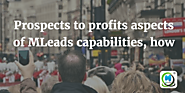 Prospects to profits aspects of MLeads capabilities | MLeads Blog
