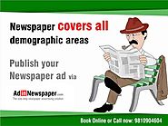 Newspaper Advertisement Agency