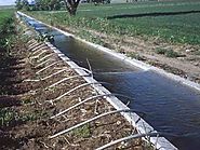 Rainwater harvesting policy
