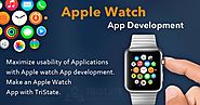 Apple Watch Application Development | Top apple watch developers | Apple Watch App Development