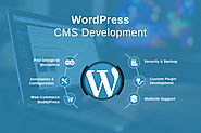 Wordpress Development Services | Hire Wordpress Developer in India