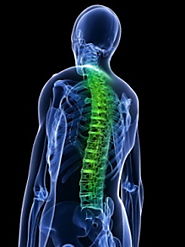 Neck, back or spinal cord injury or disc injury.