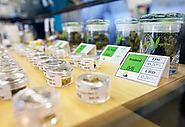 Budtender Certification | Green CulturED Cannabis College