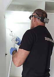 Skadedyrkontroll Norge - Rask skadedyrbekjempelse der du bor