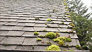 4 Reasons to Clean Your Roof Instead of Replacing it