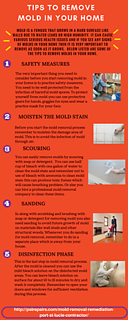 Tips to Remove Mold in your home