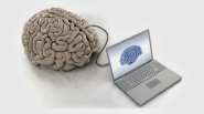 Cérebros podem ser copiados para computadores, afirma Stephen Hawking | Ciência Online - Saúde, Tecnologia, Ciência