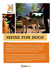 Shine for dogs