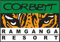 Luxury Hotels In Ramnagar Jim Corbett