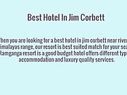 Best Budget Accommodation Hotel In Jim Corbett