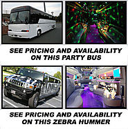 New Haven Party Bus