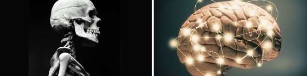 26 facts about the human body | A Listly List