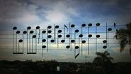 Birds' Positions On Electric Wires Turned Into Spellbinding Melody