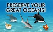 SharkBreak™ Relax. Take a Shark Break!™ Online Aquarium