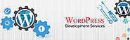 Wordpress Development Company in Delhi India
