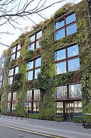 12 convincing benefits of a vertical garden - Nature Holds the Key