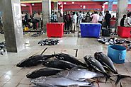 Visit the Male Fish Market