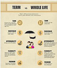7 Reliable sources to learn about Term life vs Whole Life insurance
