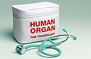 Donate an Organ! Live a second Life…