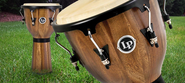 Welcome to Latin Percussion®