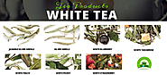 Buy White Tea Glen Ellyn, Lombard and Wheaton, Illinois