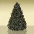 Artificial Christmas Trees from Balsam Hill