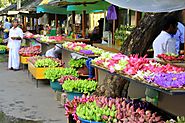 Shops and Kiosks around Temples and Roadside